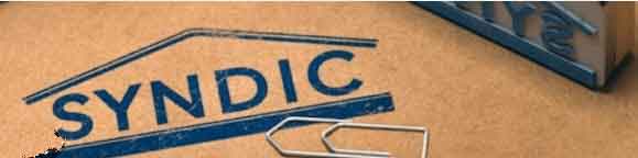 Syndic