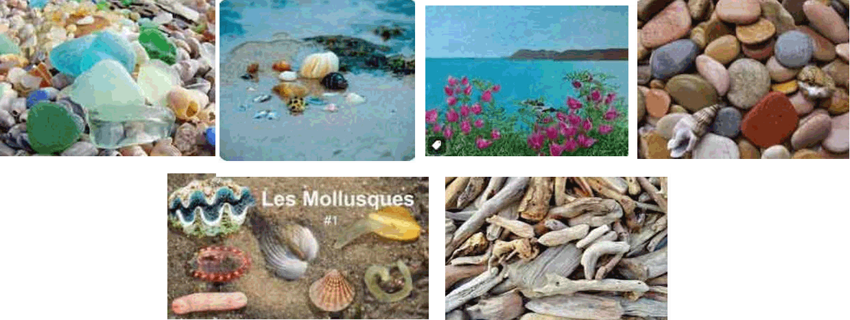 Image illustrant le sujet de l'article