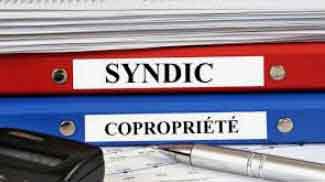 Nu-propriétaire et voix du copropriétaire majoritaire