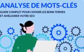 Analyseur de Densité de Mots-clés