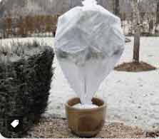 Protéger ses plantes en hiver : 5 vidéos pour tout savoir sur le voile d'hivernage